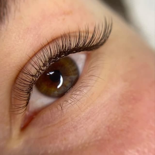 Classic Lash Membership at Xiomara Studio in Dallas, TX