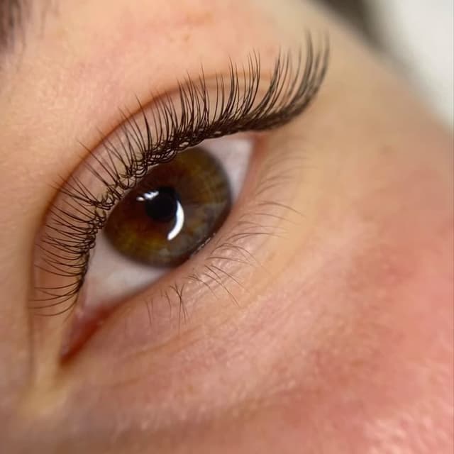 Classic Lash Membership