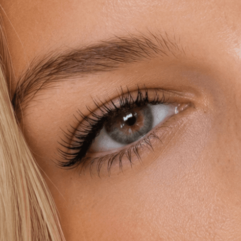Hybrid Lash Membership at Xiomara Studio in Dallas, TX
