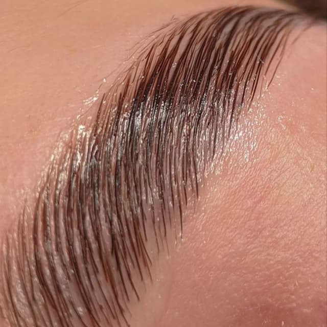Brow Lamination Buy 3 Get 1 FREE at Xiomara Studio in Dallas, TX